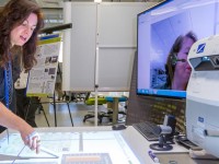 English Words used in Healthcare,Treatment, Hospital,